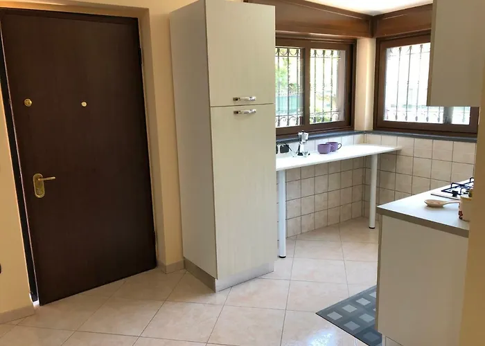 Alexander Сasa de vacaciones *